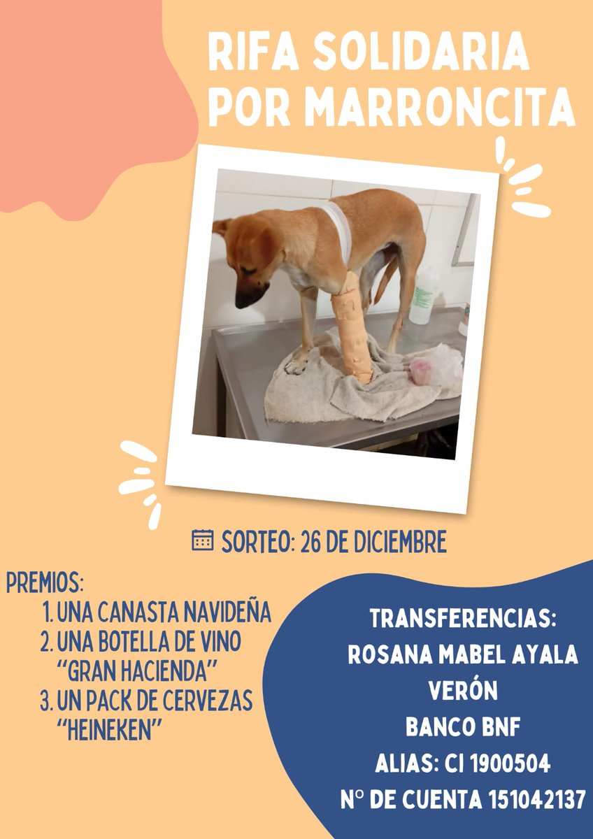 lizpa_ap's tweet photo. 🐶❤️ Marroncita fue atropellada y necesita una cirugía urgente por una fractura en su patita. Todo lo recaudado será para cubrir los gastos de la operación y su recuperación.
Por si puedan colaborar, por fa. 🙌🏾🙏🏾
RT también por fa. Gracias! 🙌🏾
@natipintos_ https://t.co/sEosTkA4z6