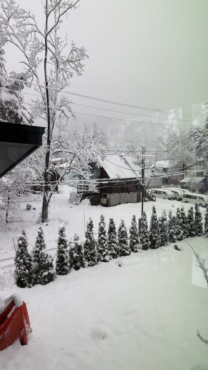 NFT_Unker 🇸🇬 tweet media