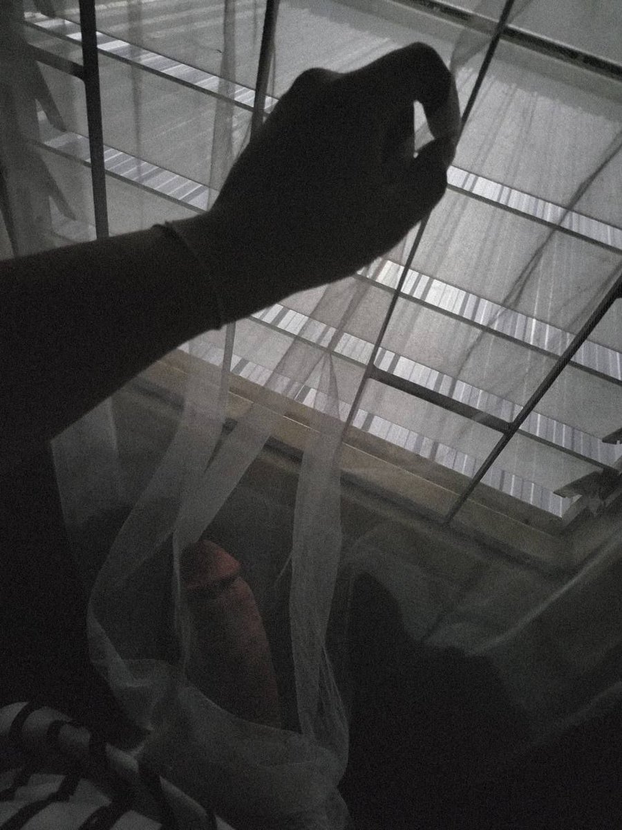 👉👌 tweet media