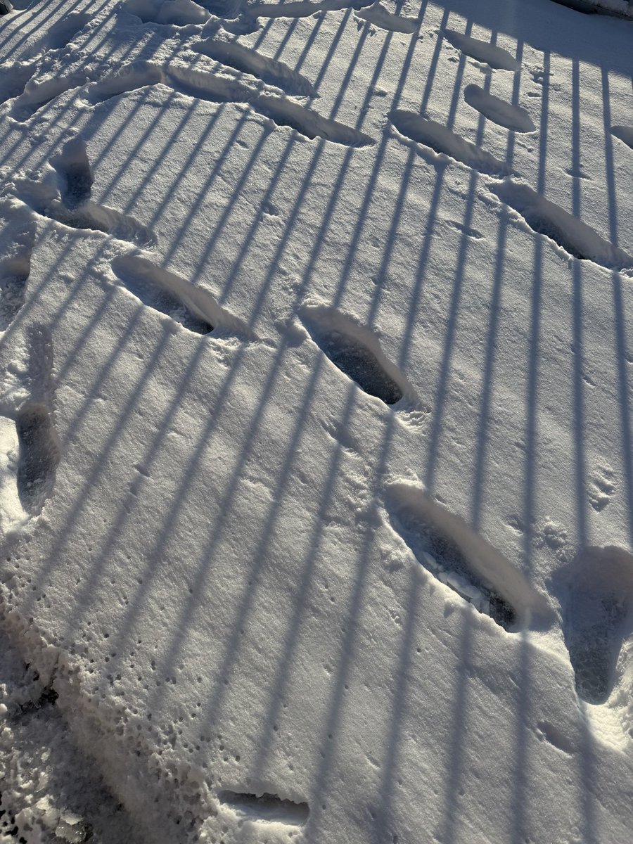 Roselia de Magentia 👑♥️ Pixela-S tweet media