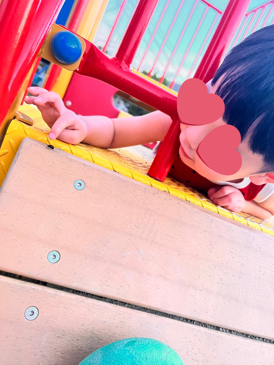 ゆずりん🎀 (@hachamecha123) / Posts / X