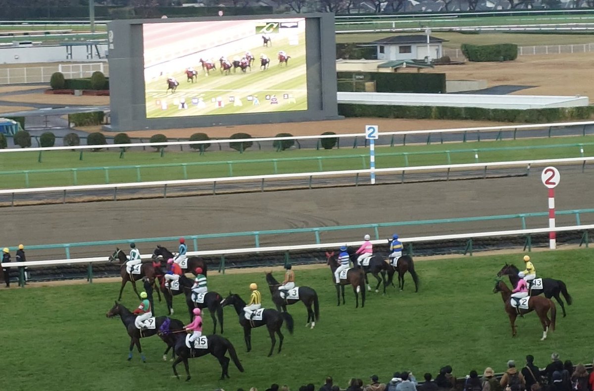 Just love this pic. -  jockeys at the start for a race in Nakayama racecourse - stop to watch Ka Ying Rising on the big screen !
Everybody wants to see the world's best sprinter !