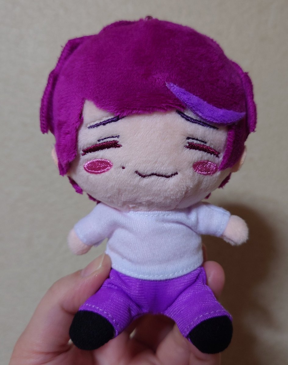 遂にお迎えできたリョウガさん😭💜 発売時はぬい活全くしてなかったの