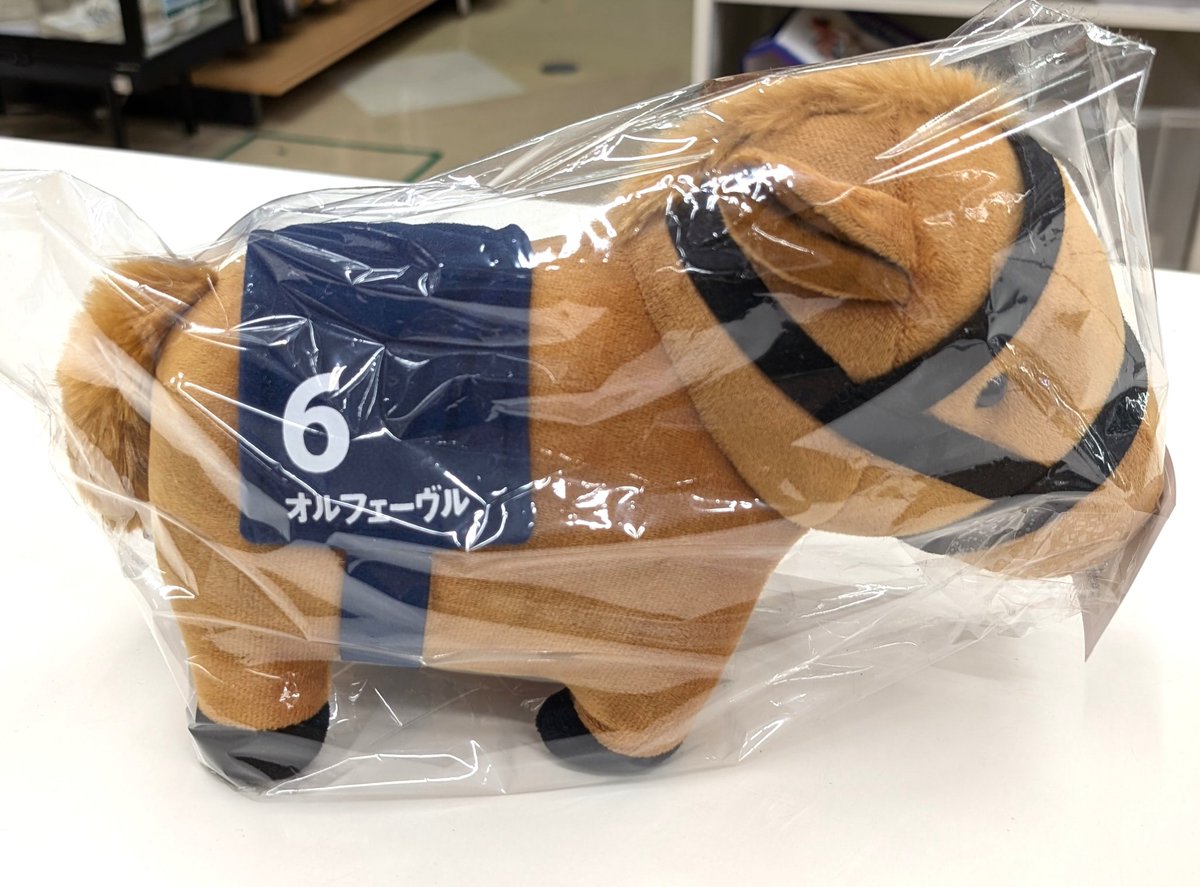 🎄 厚木戸室 厩舎 入厩情報 🎅 🇯🇵 #オルフェーヴル