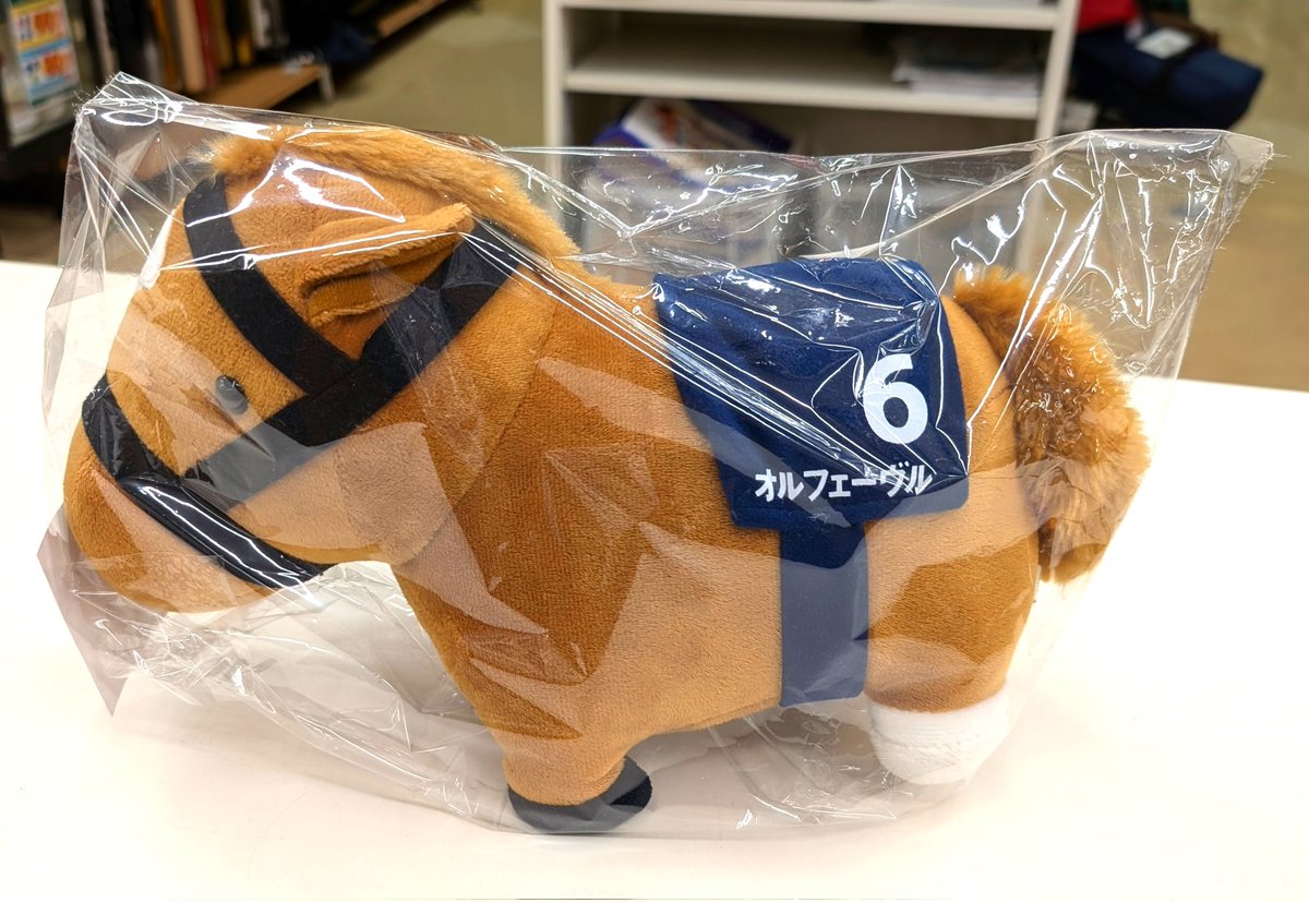 🎄 厚木戸室 厩舎 入厩情報 🎅 🇯🇵 #オルフェーヴル