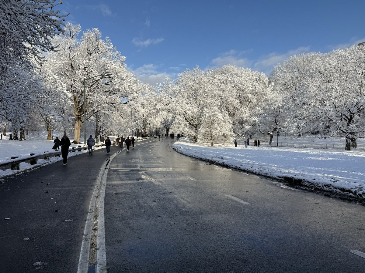 mmillller's tweet photo. #CentralPark 12/14/2025 https://t.co/LSQ4WcVxA7