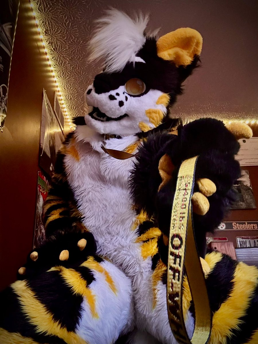 Donz🟡⚫️🐯🔜AO, AC tweet media