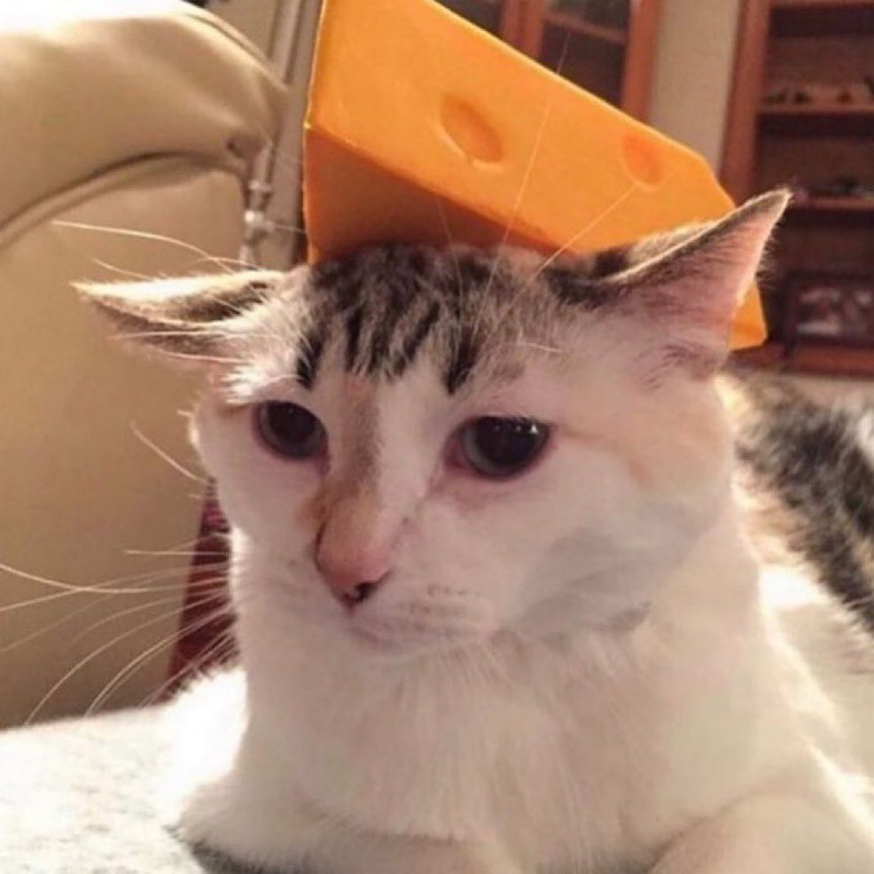 hcm (@hcm21_) on Twitter photo 