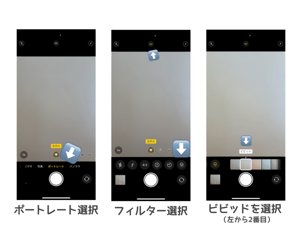 イルミネーションもだけど、Carat棒はポートレートで撮ると本当に綺麗に撮れるのでみんなも試してみてほしい(ᐡт тᐡ)💘
ビビッドがオススメです🌟