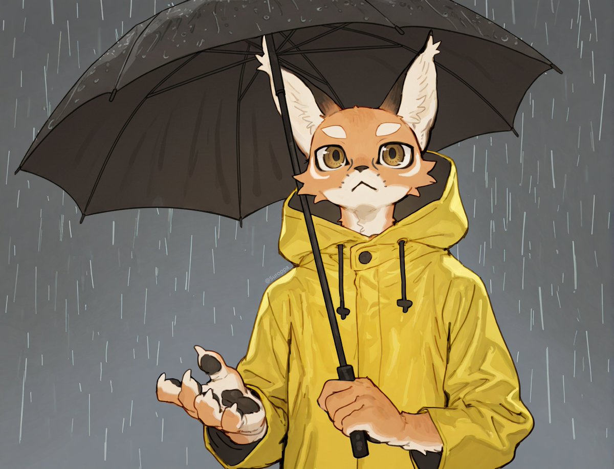 Suroppa_'s tweet photo. It's been raining quite a lot lately 🐱☔️ https://t.co/3kya3OnF3S