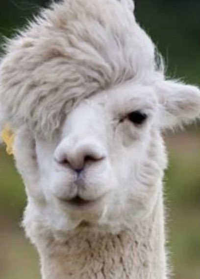 Khaled | RE9 (@starz_alpha_) on Twitter photo 