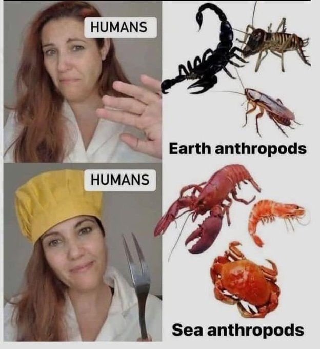 platypupu's tweet image. 어짜피 다 절지동물이다.