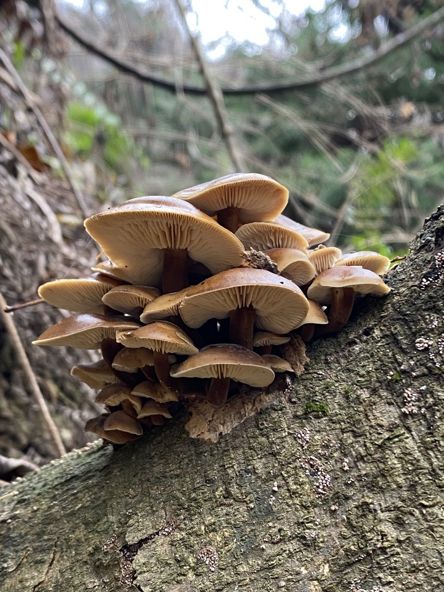 むぎゅーって感じで可愛えぇ