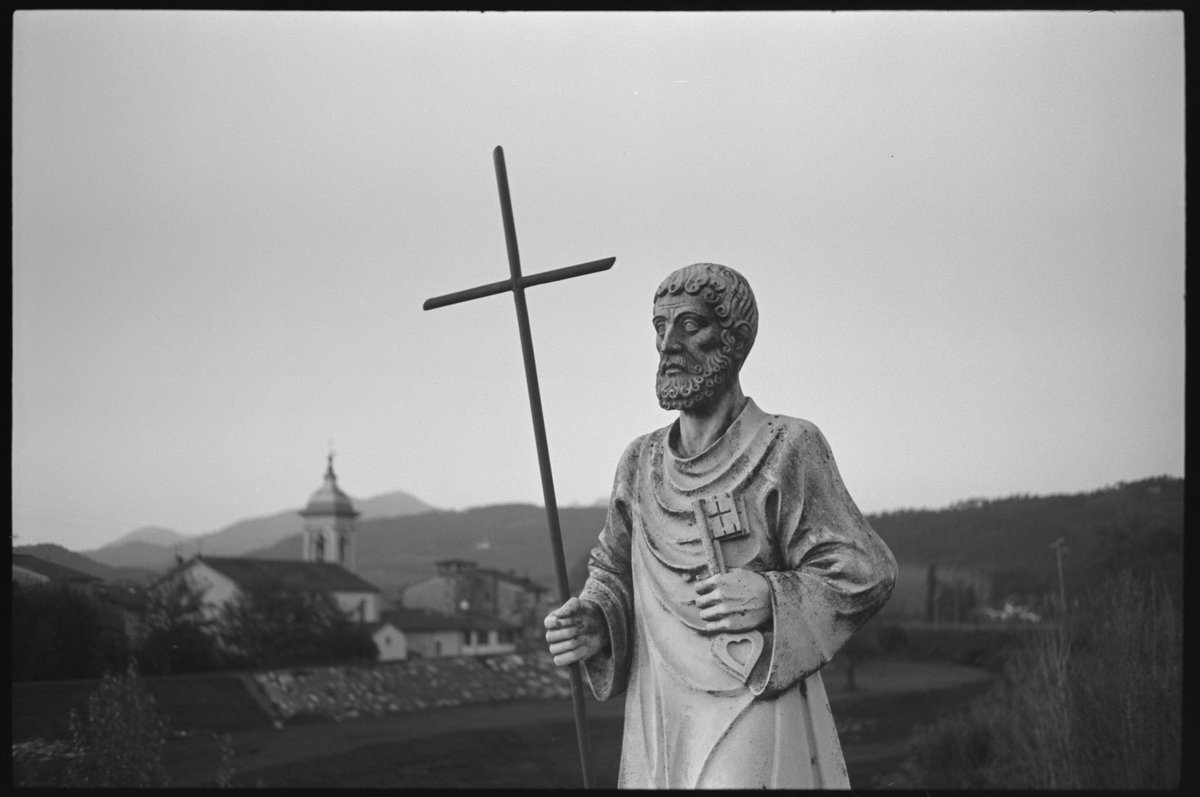 Nicholaus Goossen tweet media