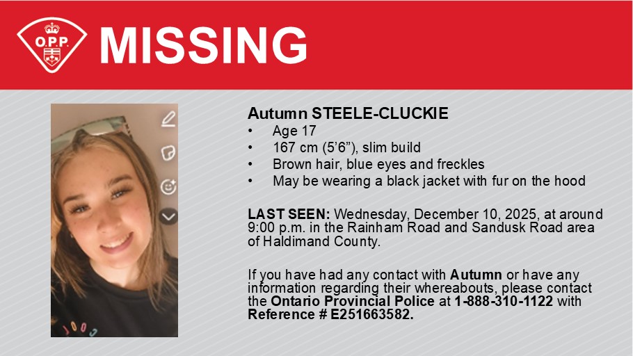 MissingFindMe tweet media