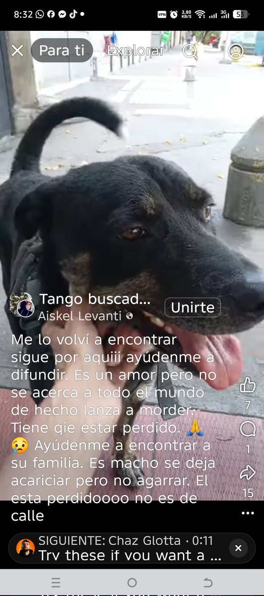 PerroUsuario's tweet photo. RP @neo999: Nuevamente reportan a este perrito deambulando en la Av Victoria Caracas, tiene pechera, Rp para que llegue a su familia https://t.co/Ng0oBszSAB
