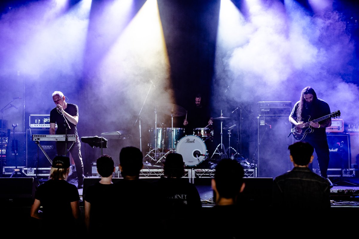 The Orphaned Bee tweet media