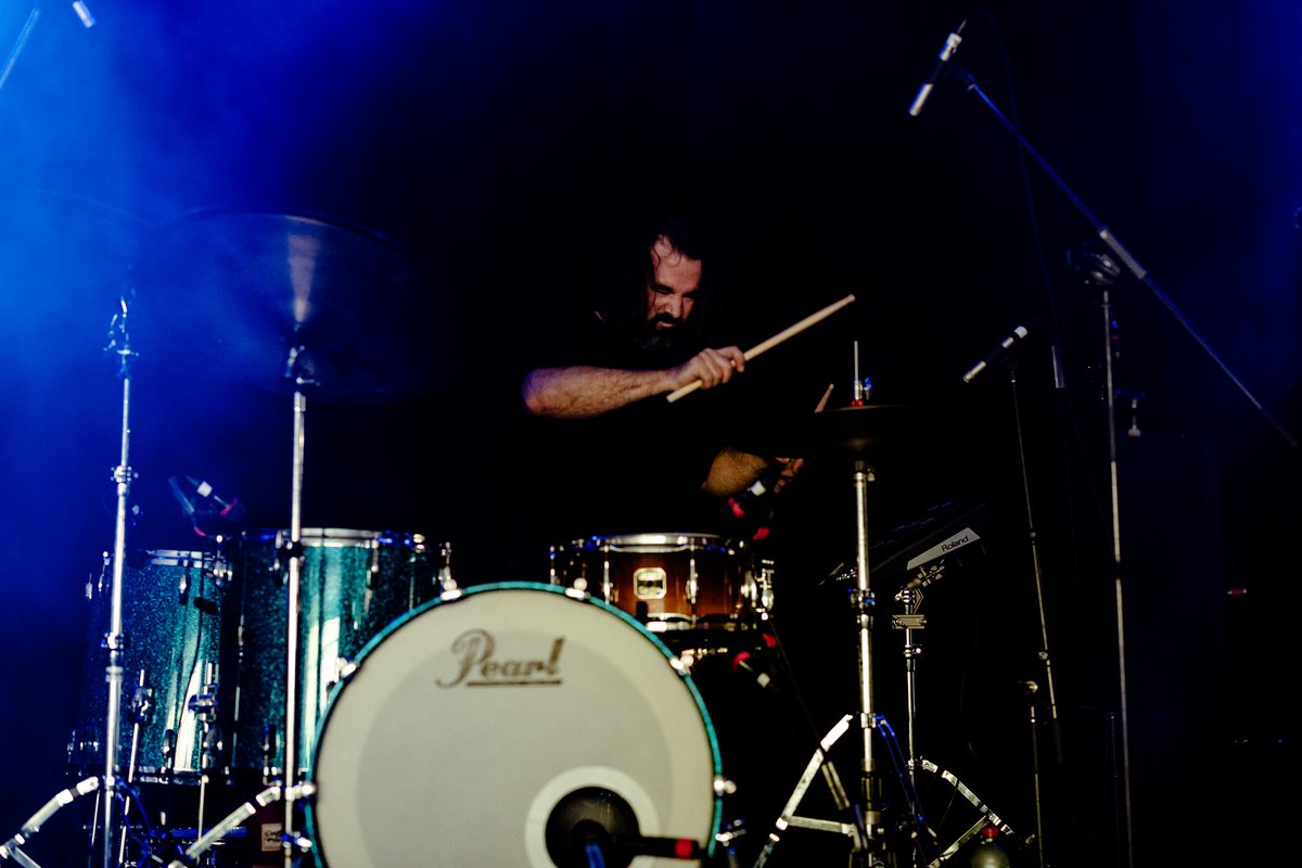 The Orphaned Bee tweet media