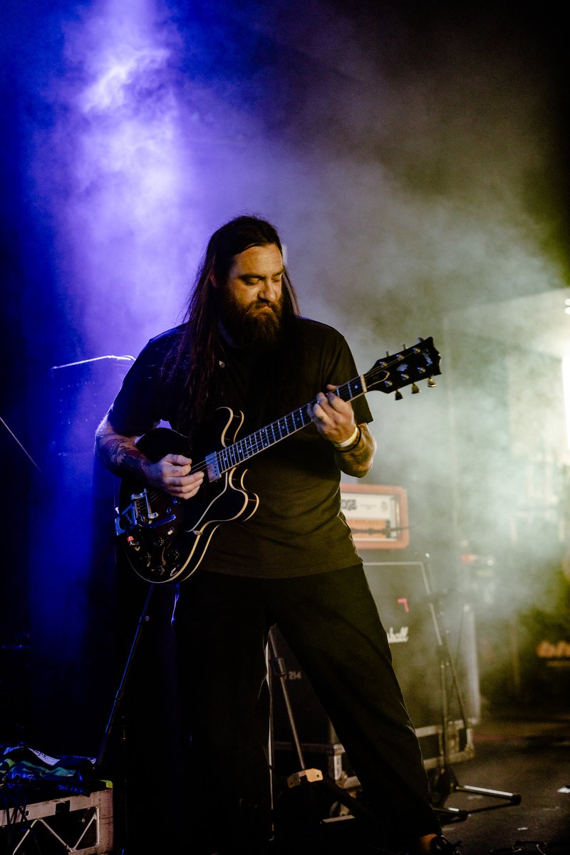 The Orphaned Bee tweet media