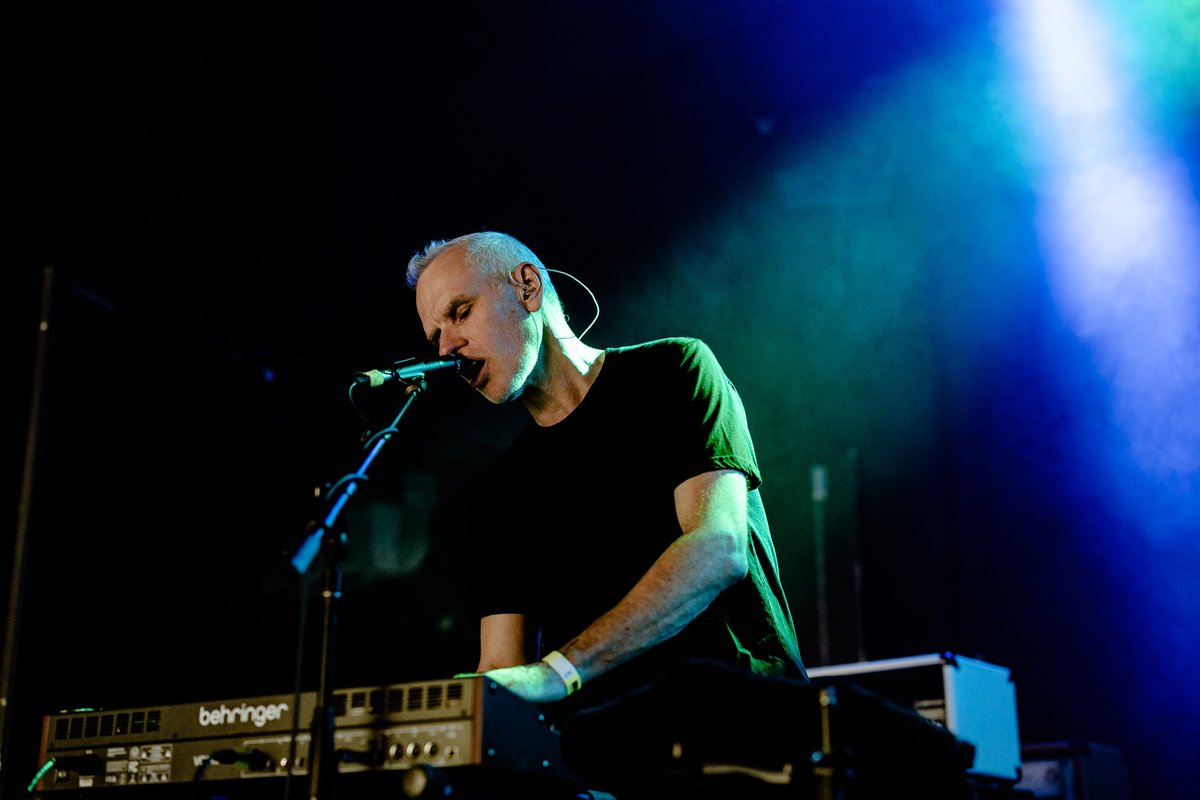 The Orphaned Bee tweet media