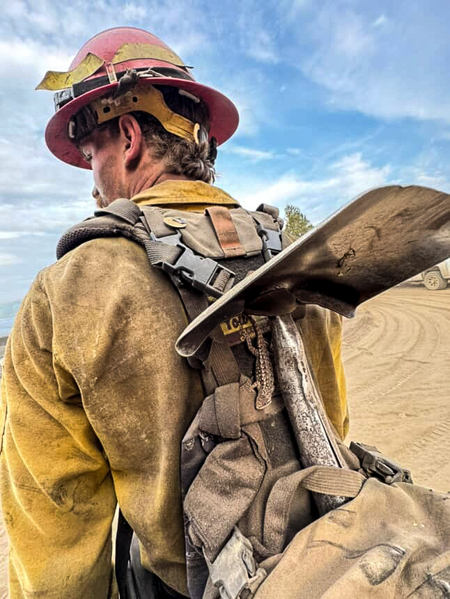 Grayback Forestry tweet media