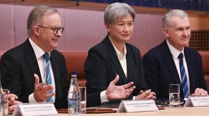 JimThom90458694's tweet photo. The shit stains on the Australian Parliament. 

The supporter of terrorism. 

They should be on the ASIO and AFP watch list. https://t.co/lERh2yzRX2