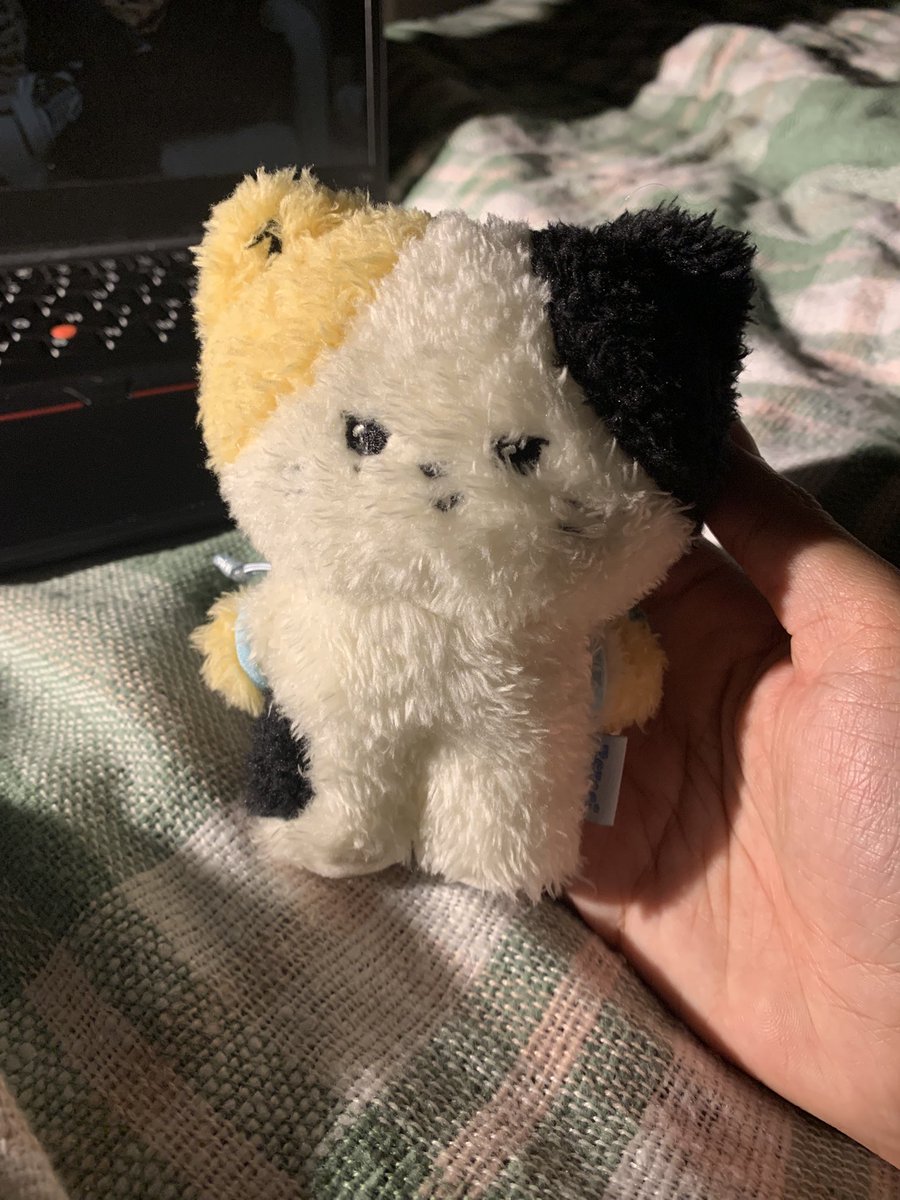 ynhhos's tweet image. got this new baby