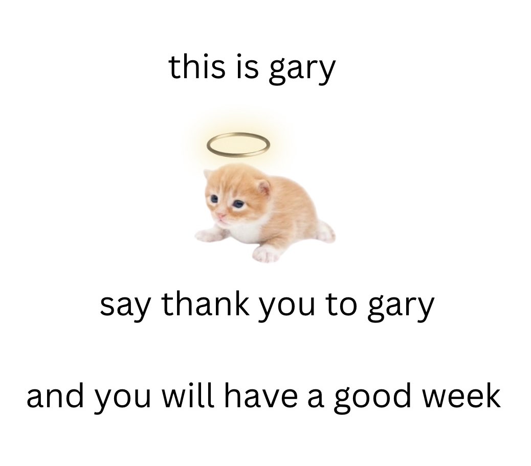 gary (@higary__) on Twitter photo 