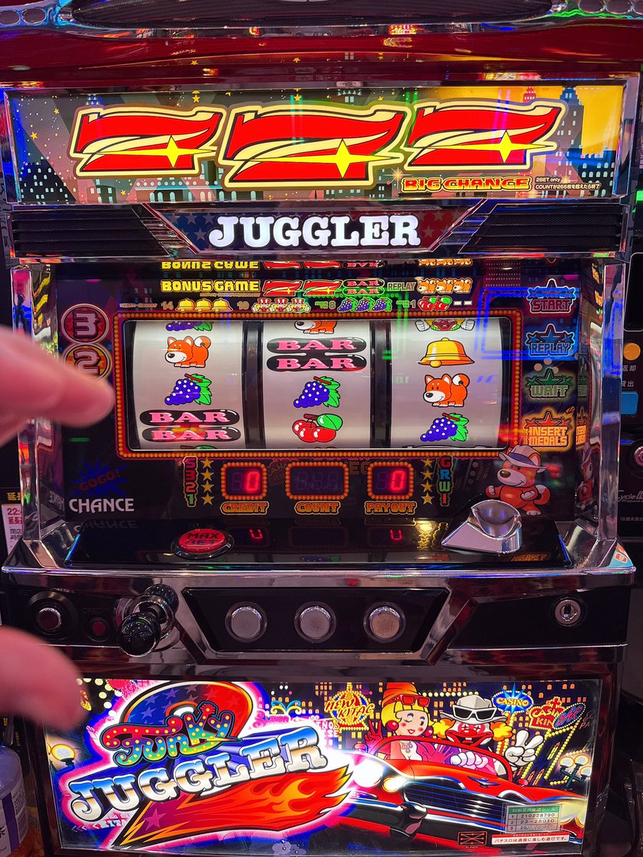 ぶーちゃん🐷📷 (@boochan_kmrmn) / Posts / X