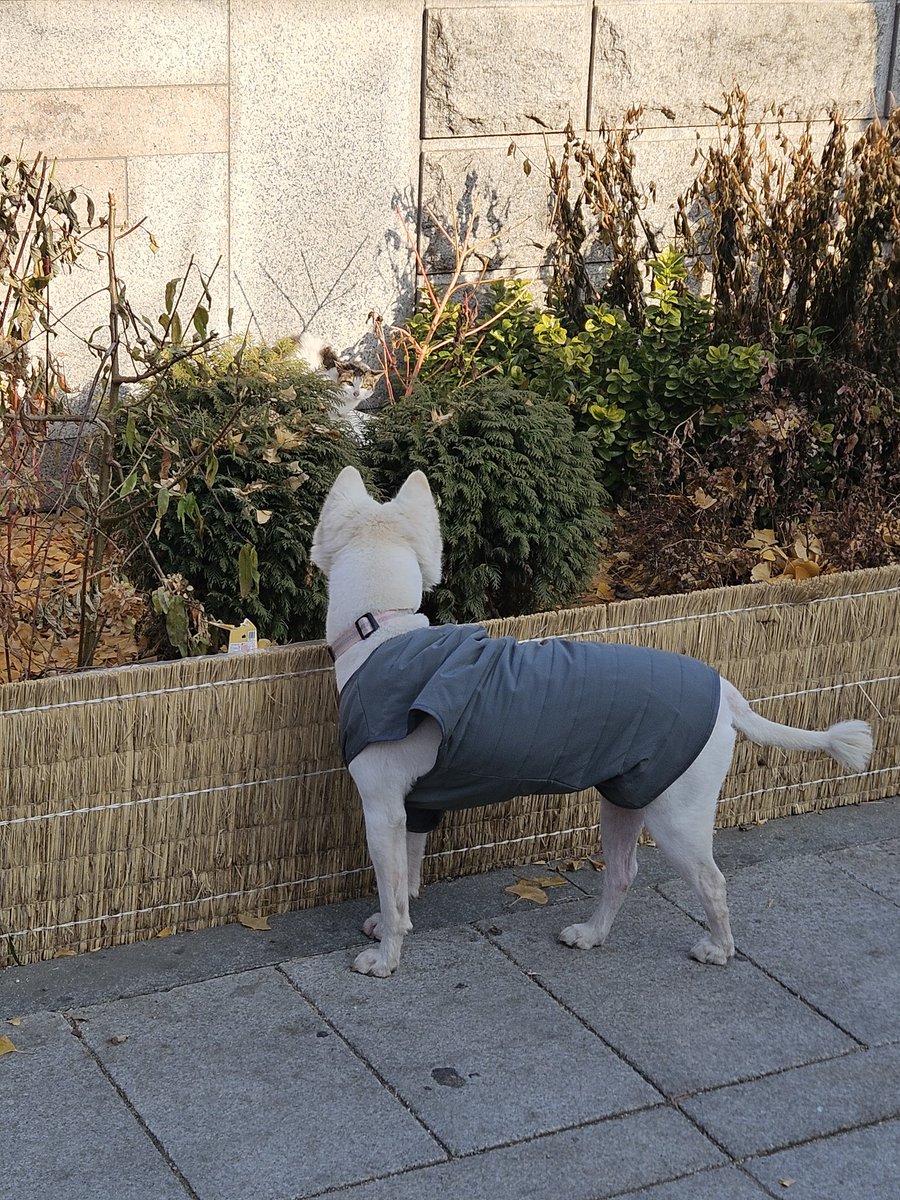 눈치싸움 On!

아침부터 가슴이 웅장해진다