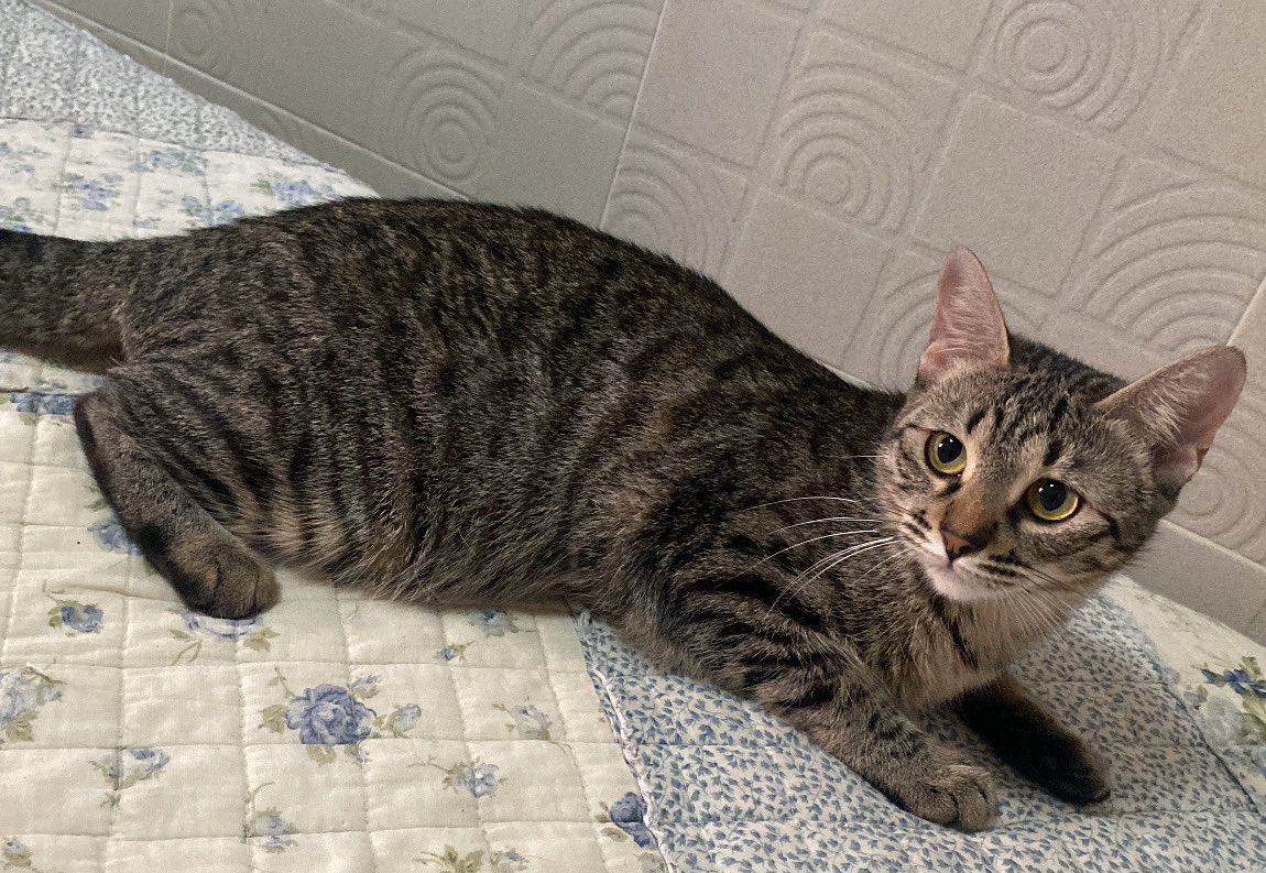 แม่จ๋าบอกว่าลูกอ้วนมั้ย