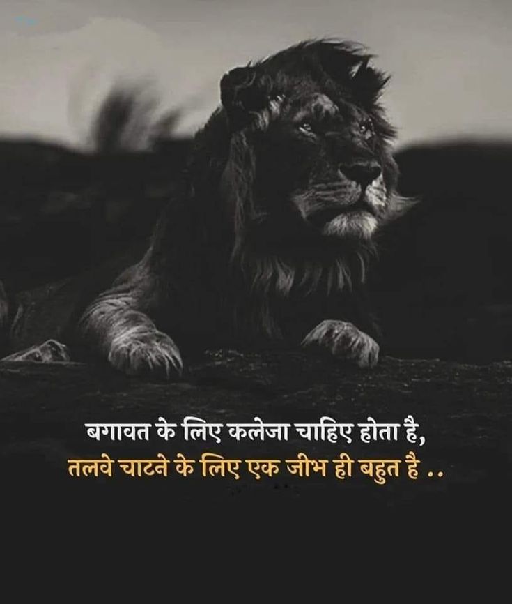 बगावत के लिए कलेजा चाहिए होता है,
तलवे चाटने के लिए एक जीभ ही बहुत है ..