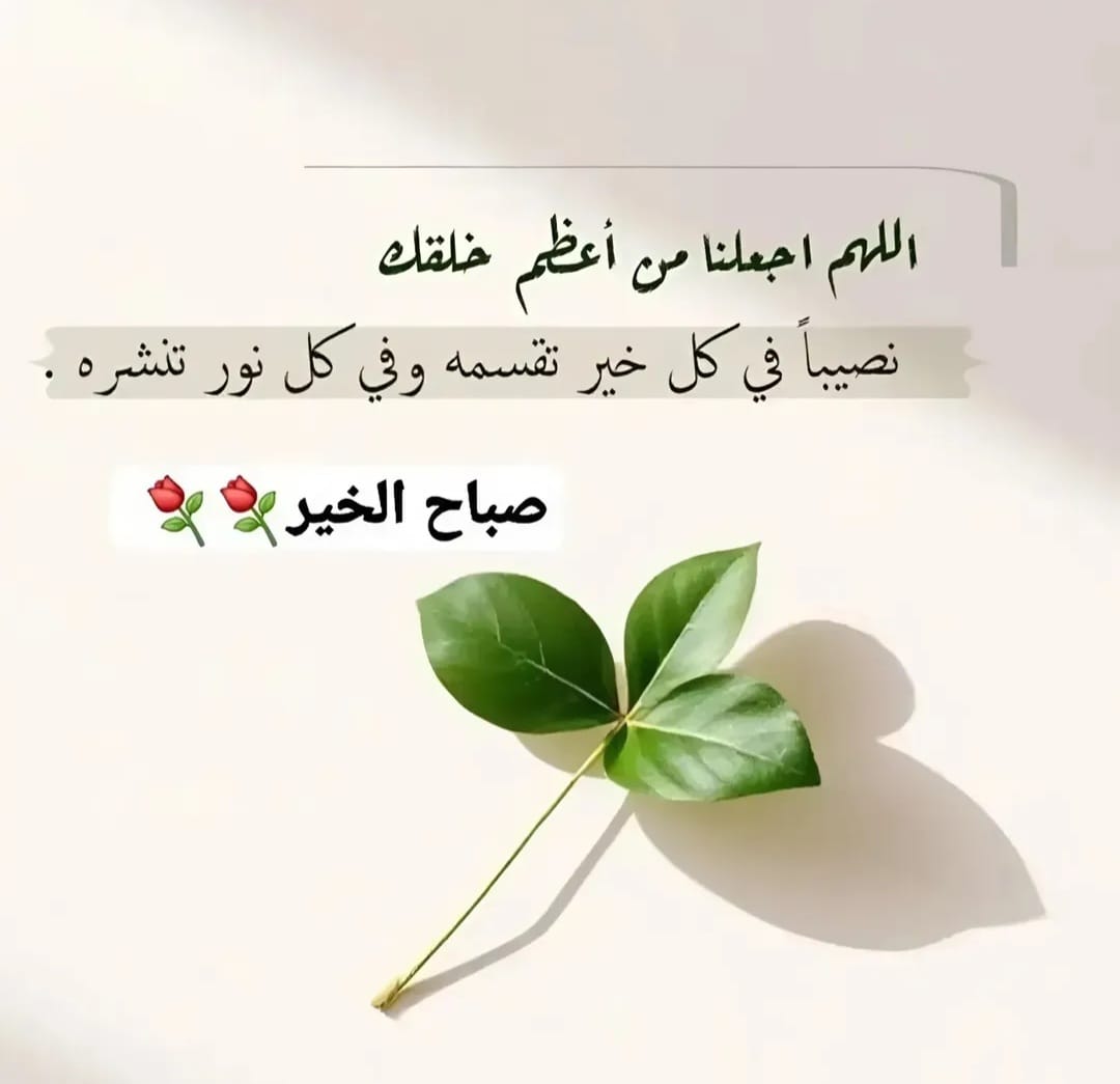 العمر لحظه🌹🌹 tweet media