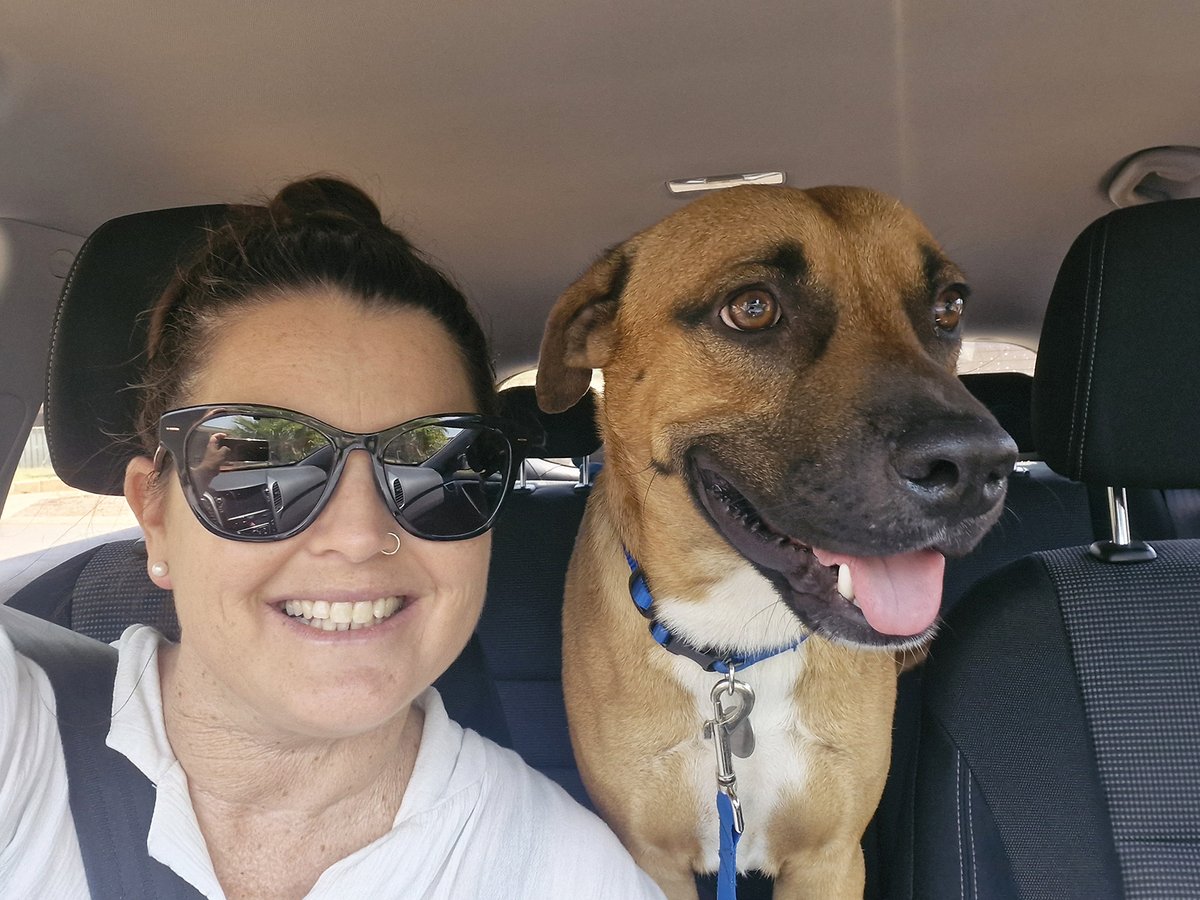 OzDogLover's tweet image. With adoptions dropping 17% this year, Aussies are being called upon to adopt or foster a pet during the festive season to give much-needed relief to animal shelter organisations and save a life! 🐶🏡🙏
australiandoglover.com/2025/12/adopt-…

#AdoptDontShop #FosterADogToday #AussieDogs