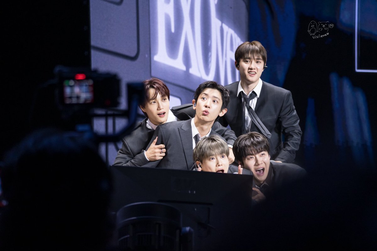 五只小肥熊vivi 비비안 tweet media