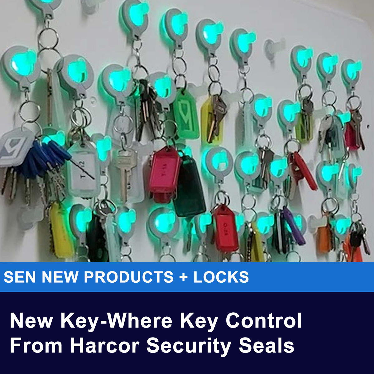 sen.news/keywhere-key-c…
Key-Where key control system from Harcor Security Seals is a locally manufactured smart panel designed to streamline key tracking and eliminate manual reconciliation. 
#locks #keys #locksmithing #doorcontrol #entrancecontrol #doorhardware