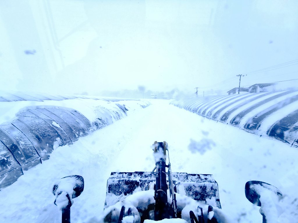 雪雨ページ 01_AMW_20250220_yyceleb.jpg