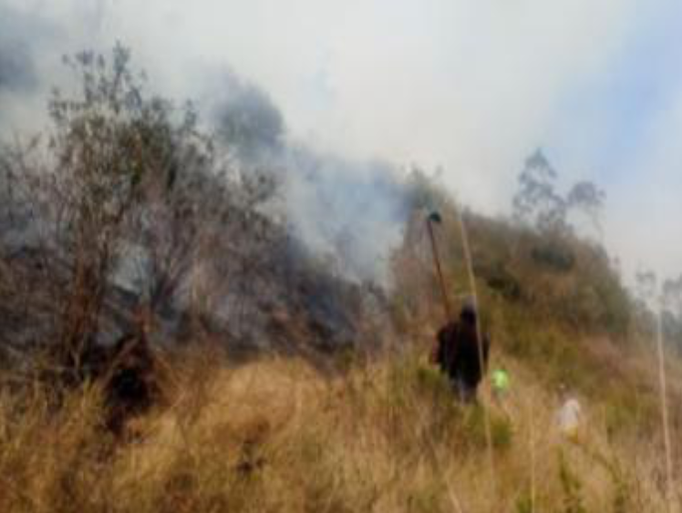 COENPeru's tweet photo. 🔥 Apurímac: personal del gobierno local, efectivos de la @PoliciaPeru y pobladores de la zona realizan trabajos de control y extinción del #IncendioForestal registrado el día de hoy en la comunidad de Toctopata, distrito de #Pacucha, provincia de Andahuaylas. Asimismo, se viene ejecutando la #EDAN y, hasta el momento, no se reportan daños a la vida ni a la salud de las personas.