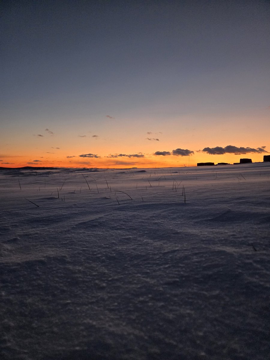 GeoStrophic_Flo's tweet image. Into the ocean of snow unknown ❄️🌅 #wxtwitter #pawx