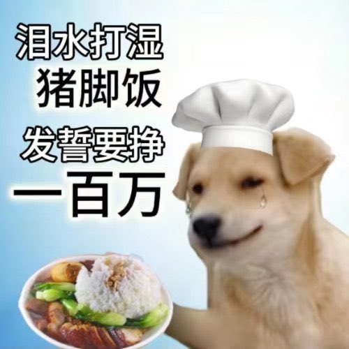 比特肥 || Bitfatty (🍀,🍀) tweet media