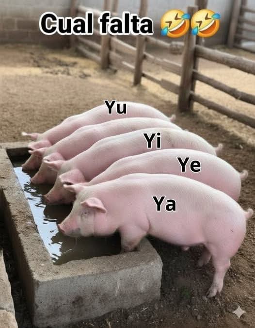 Diego Prieto✈️ tweet media