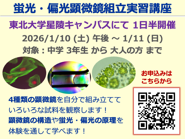 東北大学大学院医工学研究科（Tohoku Univ Biomedical Engineering） tweet media