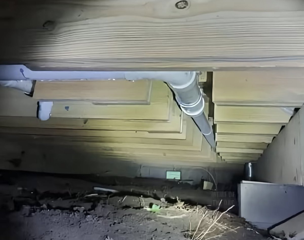 🇺🇸 Larry 🇺🇸 tweet media