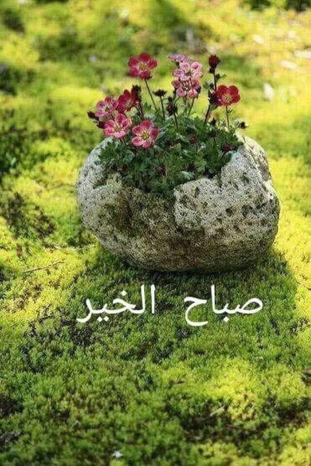 jasem33333's tweet photo. https://t.co/1dWx6LjHH4