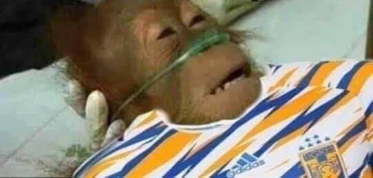 ChistesTigres's tweet photo. Valiendo madres https://t.co/Ukd0FEjkg5