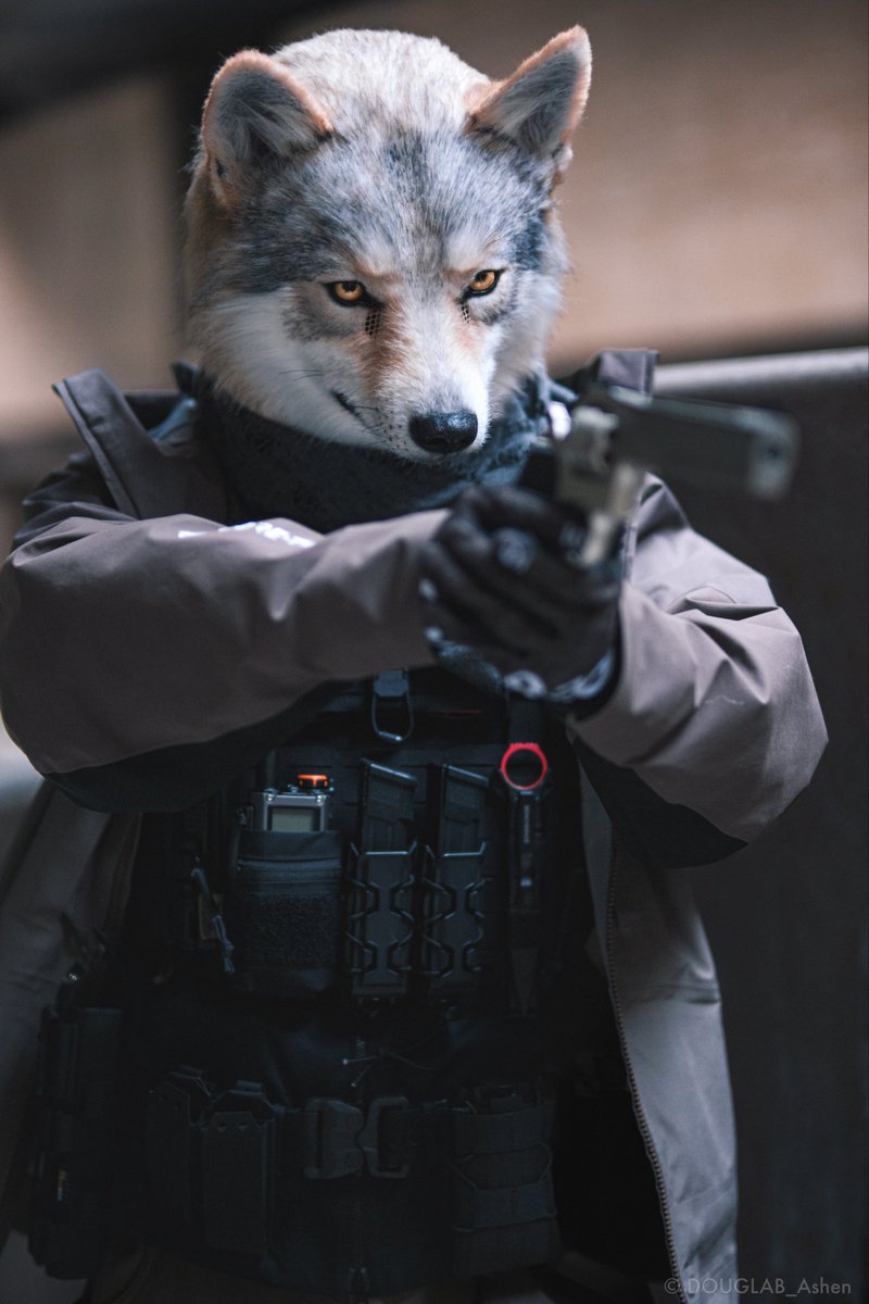 DOUGLAB_Ashen's tweet image. Ready or not？

#FursuitEveryday
#DOUGLAB