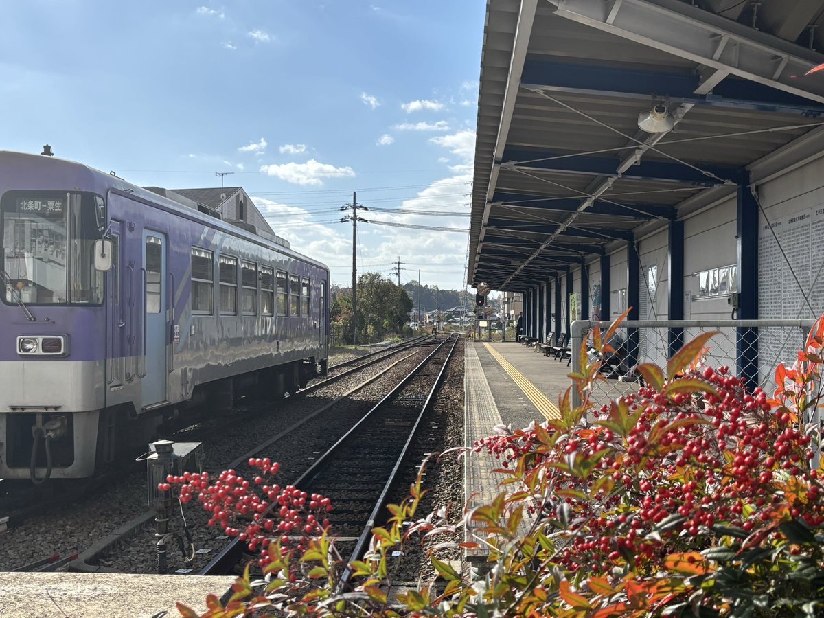 remotetsu's tweet photo. 北条鉄道と一緒に、少しずつ冬の到来を感じる快晴の日々✨

#北条鉄道 #快晴 #リモ鉄 https://t.co/b2zQDk33VP