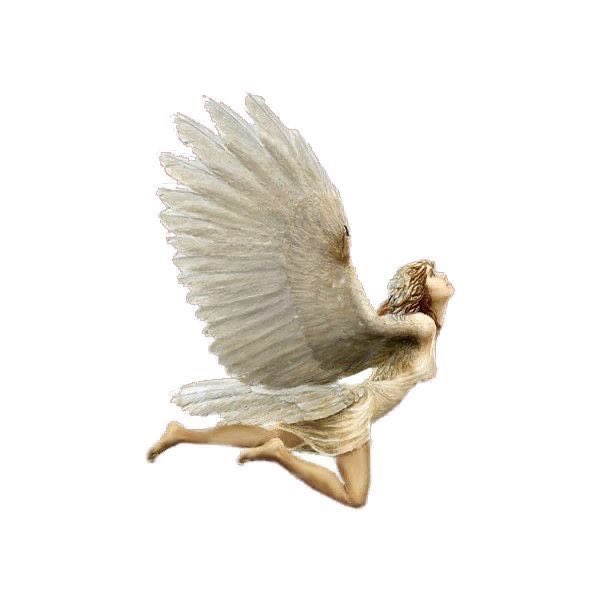 seraphicxc's tweet image. 