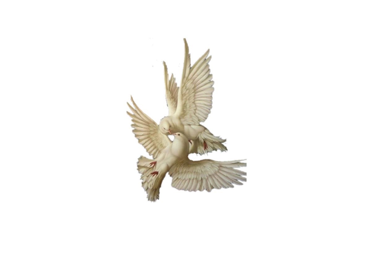 seraphicxc's tweet image. 