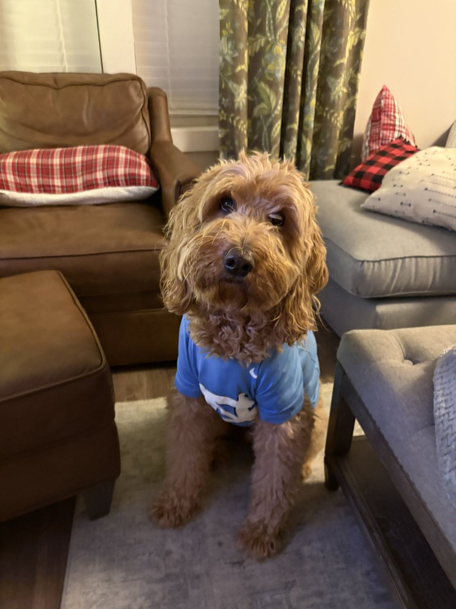 ecoltraneunc's tweet photo. @jadamlucas @UNC_Basketball He’s a very good boy https://t.co/BXHxbTs3Cp